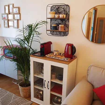 Casa Aurelia 641 公寓 罗马